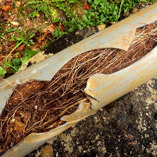 The Drain & Sewer Professionals In Elizabeth